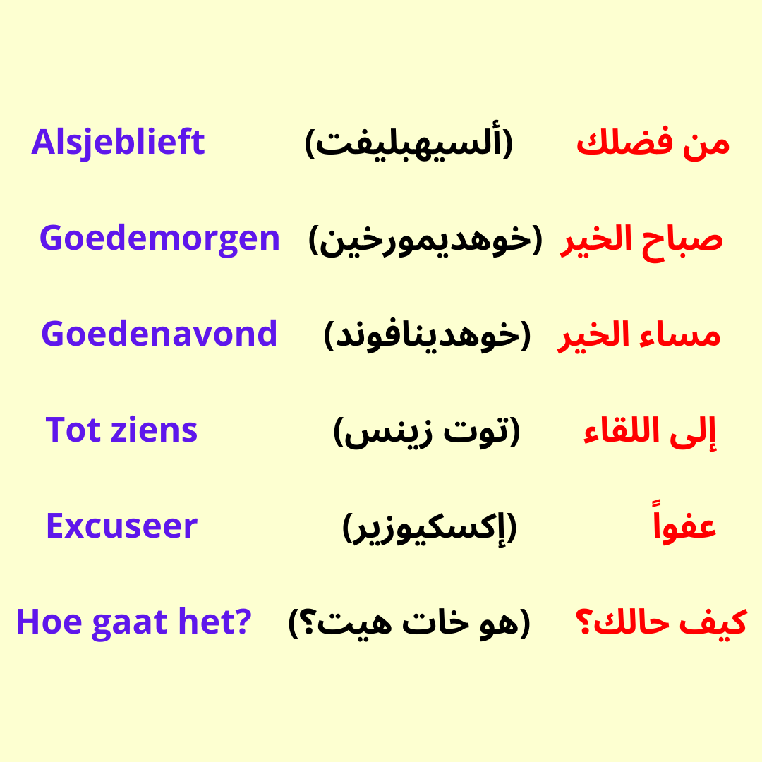 تعلم اللغة الهولندية بدون معلم